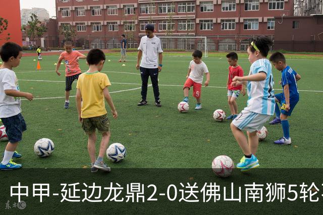 中甲-延边龙鼎2-0送佛山南狮5轮不胜 多明戈斯角球破门徐继祖建功